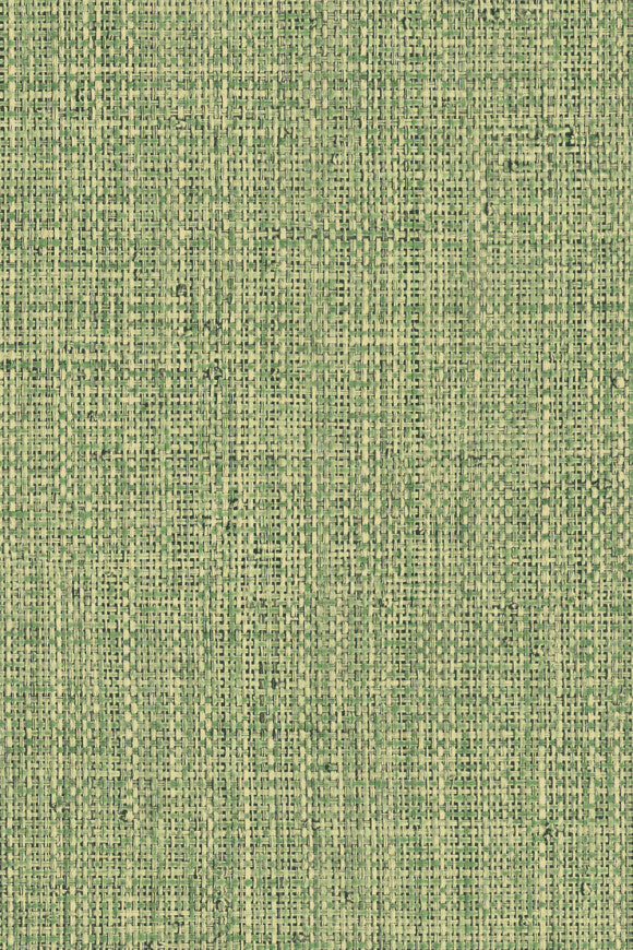 TEXTURA WALLPAPER NONGO