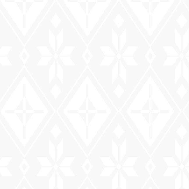 DISNEY KID VOL 4 DISNEY FROZEN 2 ELSA'S BEDROOM WALLPAPER